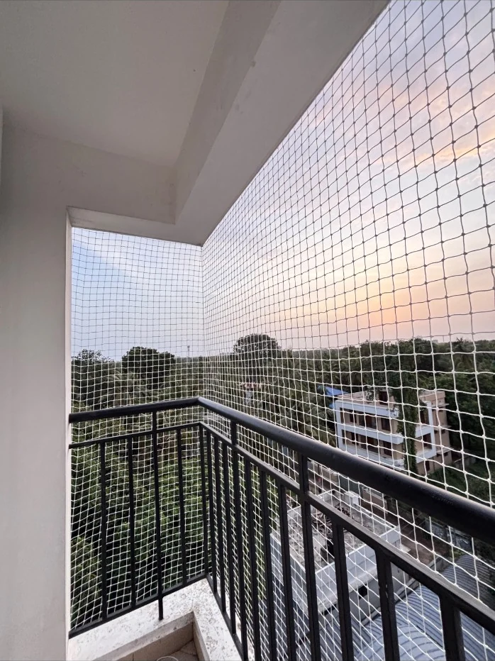 Pigeon Protection Nets in Hyderabad